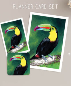 Costa Rican Toucan Planner Card Set